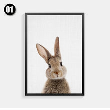 Load image into Gallery viewer, Kawaii Animals Rabbit Art