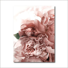 Load image into Gallery viewer, Wall Pictures Botanical Posters